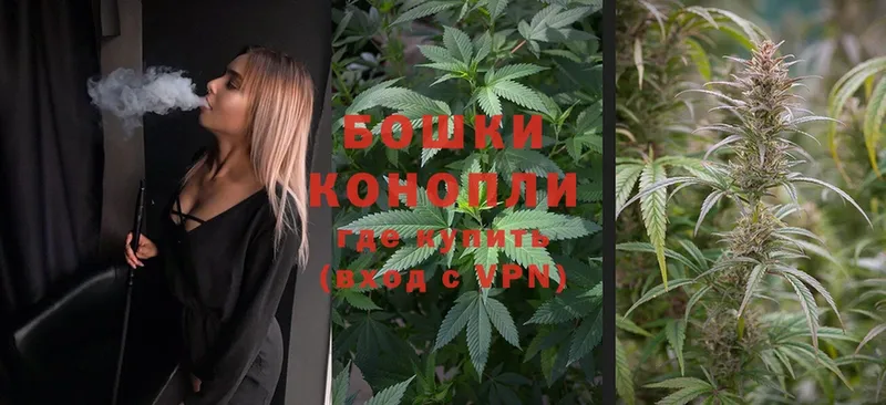 Бошки Шишки SATIVA & INDICA  Аргун 